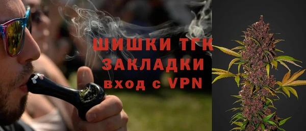 mix Богородицк