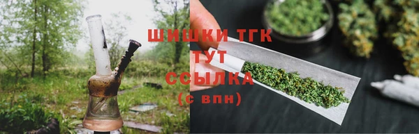 гашик Богданович