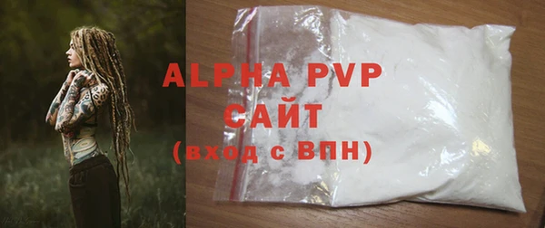 гашик Богданович