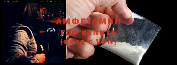 гашик Богданович