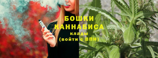 mix Богородицк