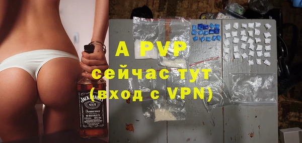гашик Богданович