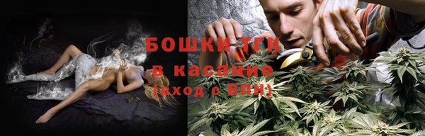mix Богородицк